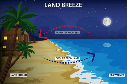Nighttime land breeze