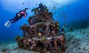 Diver over coral reef